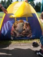 /album/fotogalerie-sommerfest-2013/img-0032800-jpg/